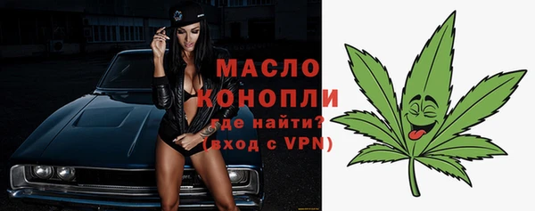 сатива Богданович