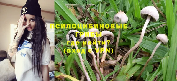 гидропоника Бугульма