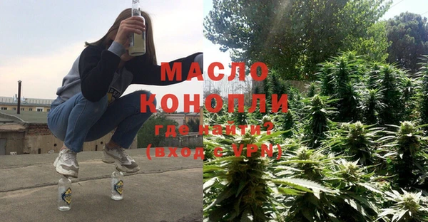 2c-b Бородино